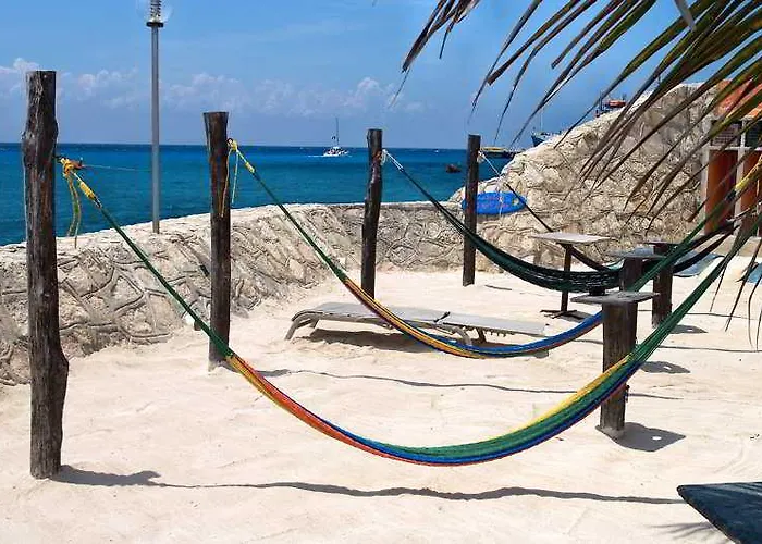 Hotel Barracuda 3*