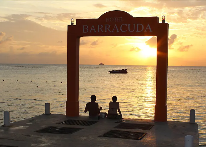 Barracuda