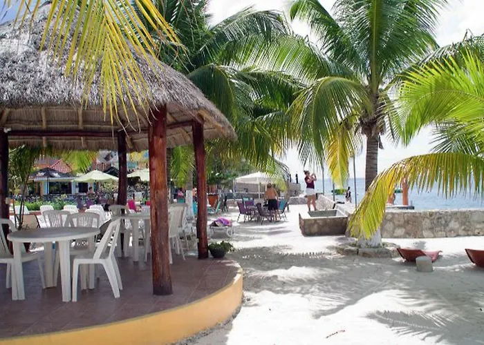 Barracuda Cozumel