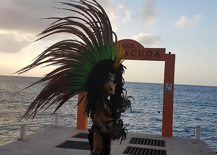 Barracuda 3*