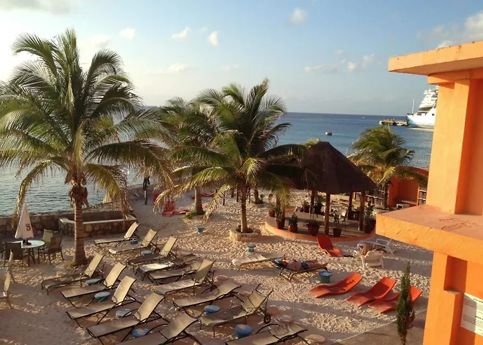 Barracuda Cozumel