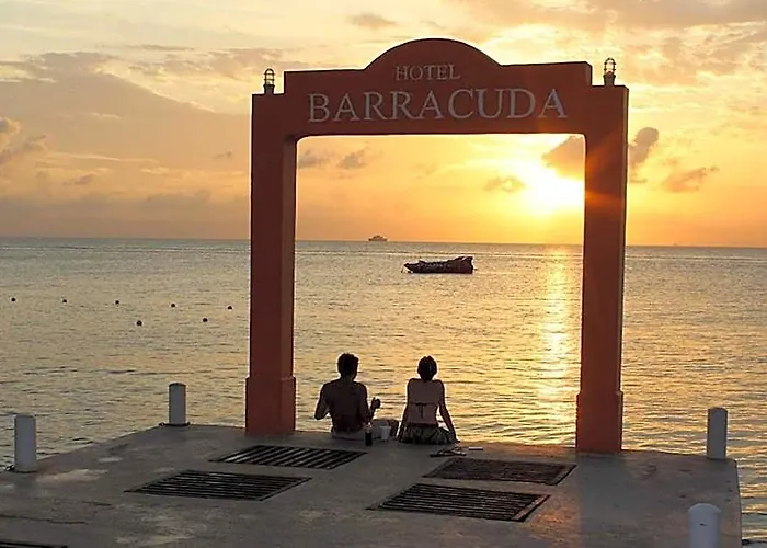 Barracuda Cozumel