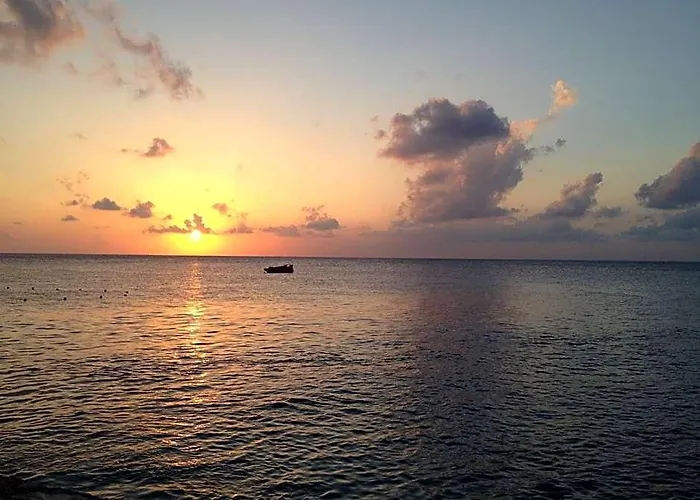 Barracuda Cozumel