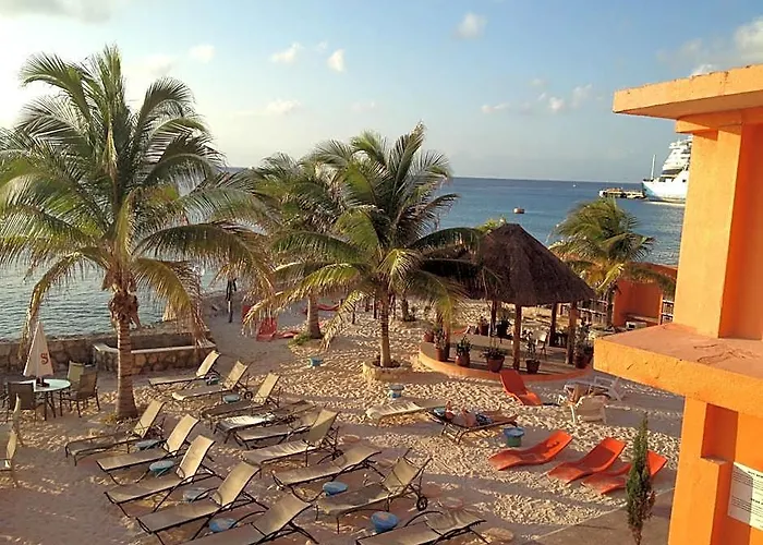 Barracuda Cozumel