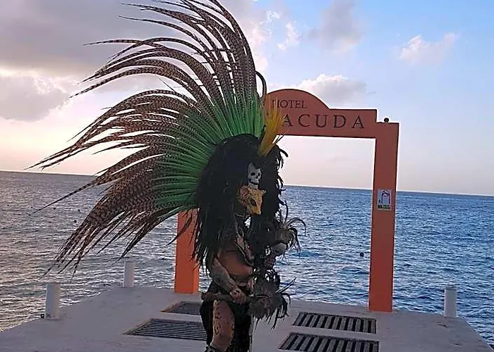 Hotel Barracuda Cozumel