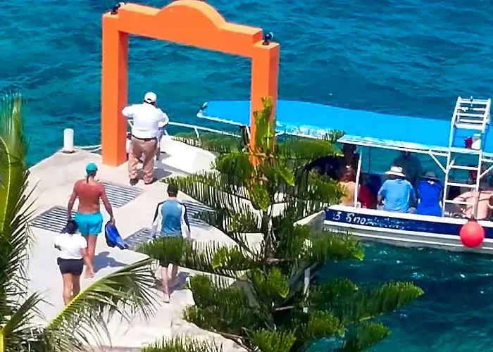 Hotel Barracuda 3*