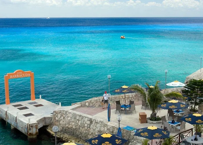 Barracuda Cozumel