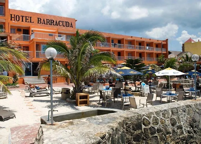Barracuda
