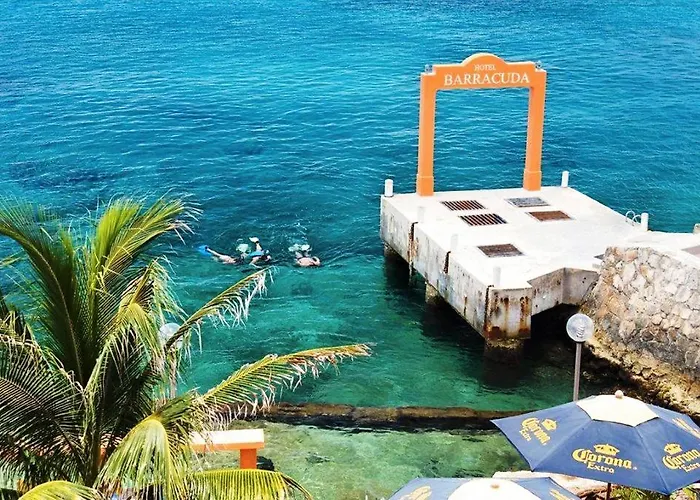 Barracuda Hotel 3*