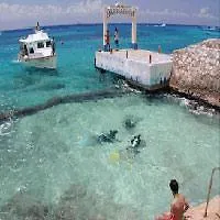 Barracuda Cozumel