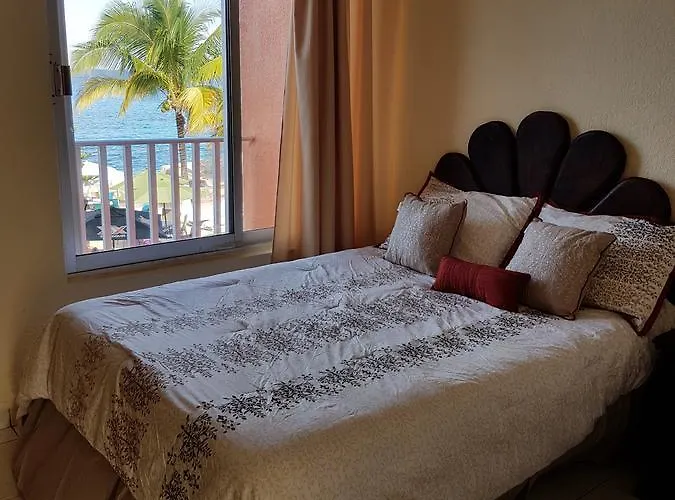 Barracuda Hotel