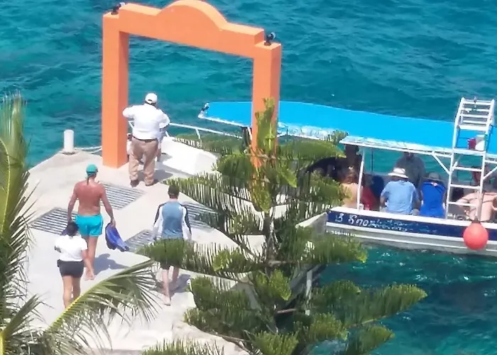 Barracuda