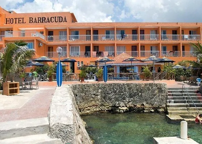 Barracuda