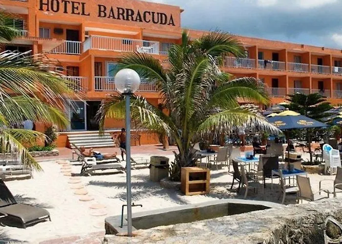 Barracuda